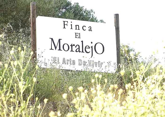 Rural Cottage \'Vincent\' Van Gogh, With Spectacular Pool & Optional Private 6 Guests Jacuzzi