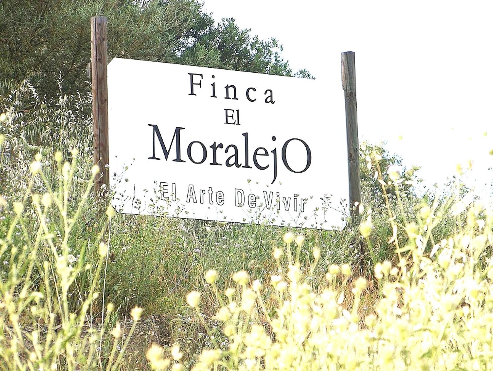 Hébergement de vacances Rural 'vincent' Gogh, With Spectacular Pool & Optional Private 6 Guests Jacuzzi *