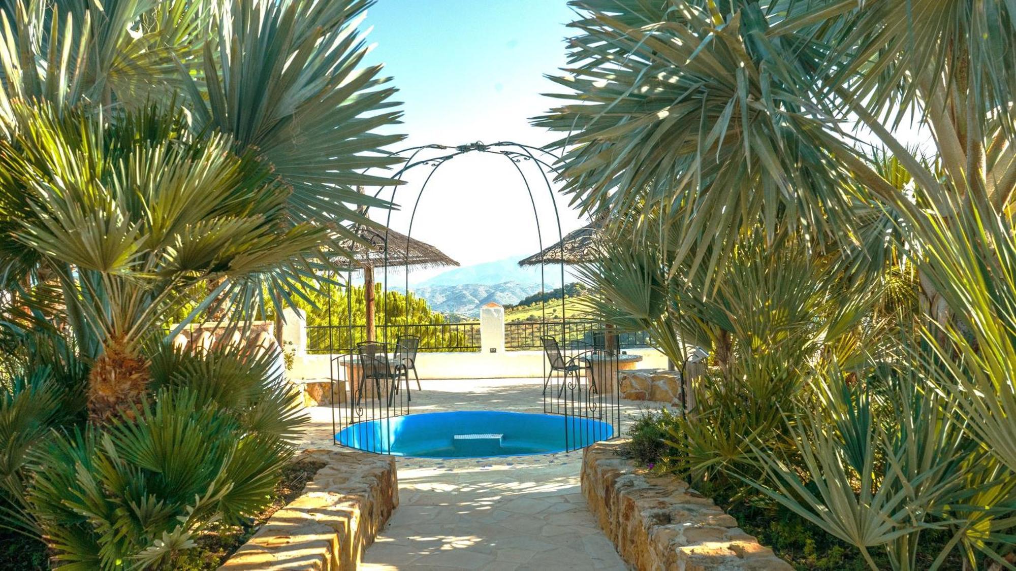 Rural 'vincent' Gogh, With Spectacular Pool & Optional Private 6 Guests Jacuzzi